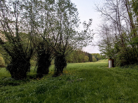 Okolica pred Ajdovsko jamo